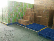 貨物倉儲墊倉板 聯(lián)鎖式倉庫托盤墊板 鎖扣式倉庫墊倉板 大面整體鋪設(shè)